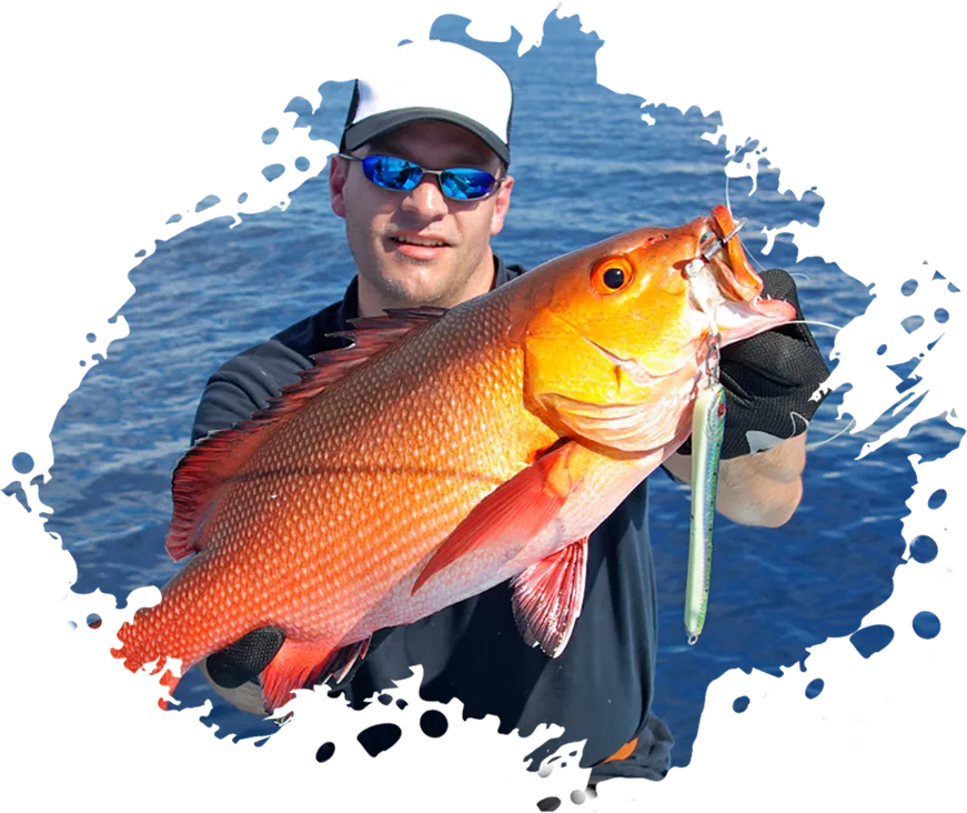 Modern Design Exotic Fishinizerry - 世界杯直播