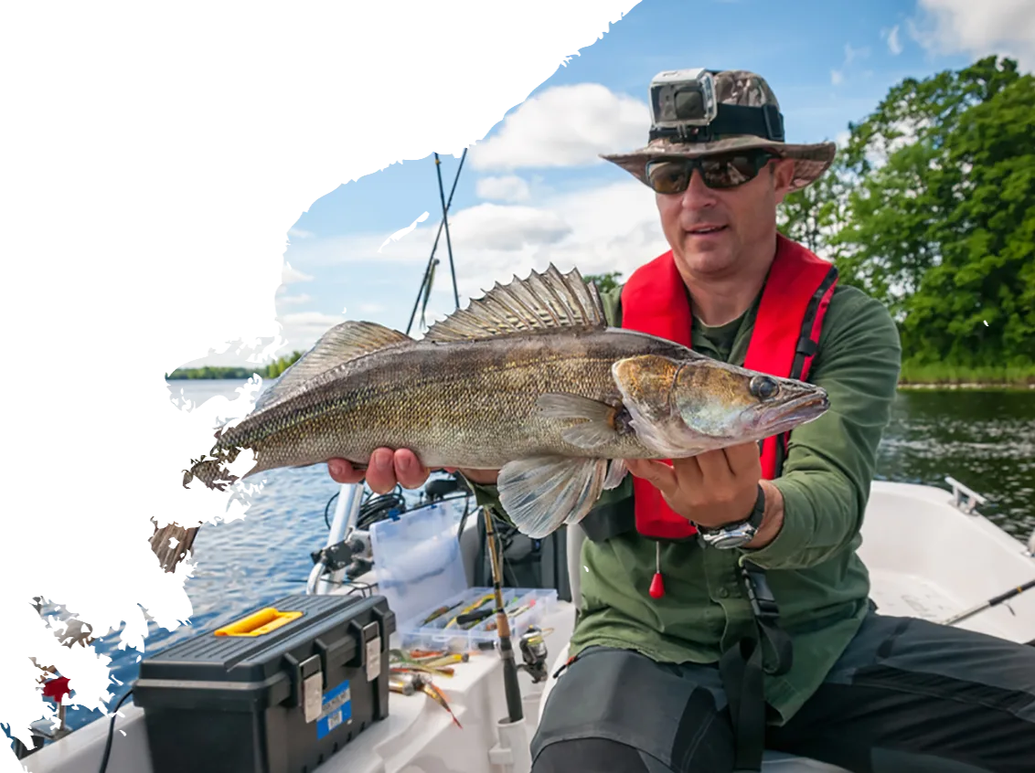 Modern Design Gears Fishing Rods - 世界杯直播